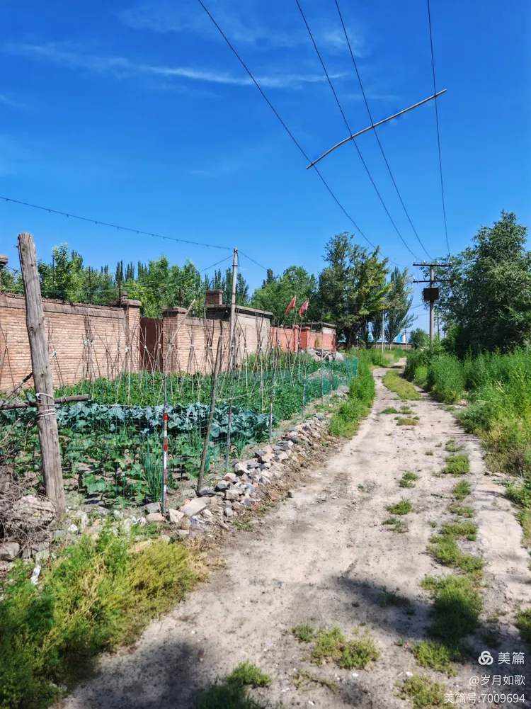 怀仁下寨农场:镌刻在岁月里的青春诗章